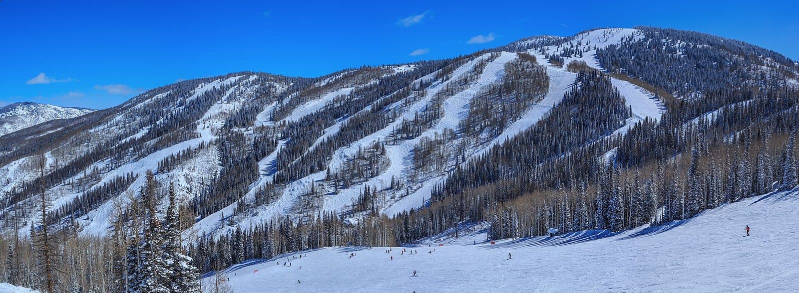 Panoramic view of snow-covered ski runs at Steamboat Springs ski area under a blue sky